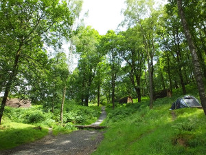 Grizedale Campsite - Bowkerstead Farm